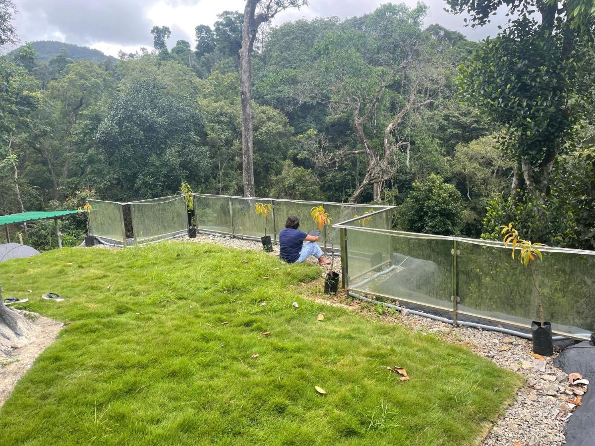 Rai'S Coorg Cave House Villa Madikeri Bagian luar foto