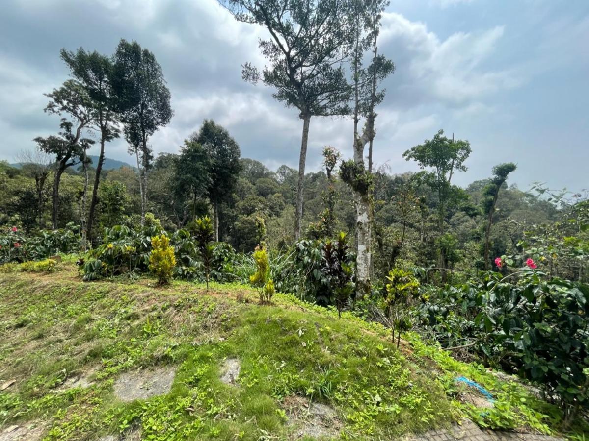 Rai'S Coorg Cave House Villa Madikeri Bagian luar foto